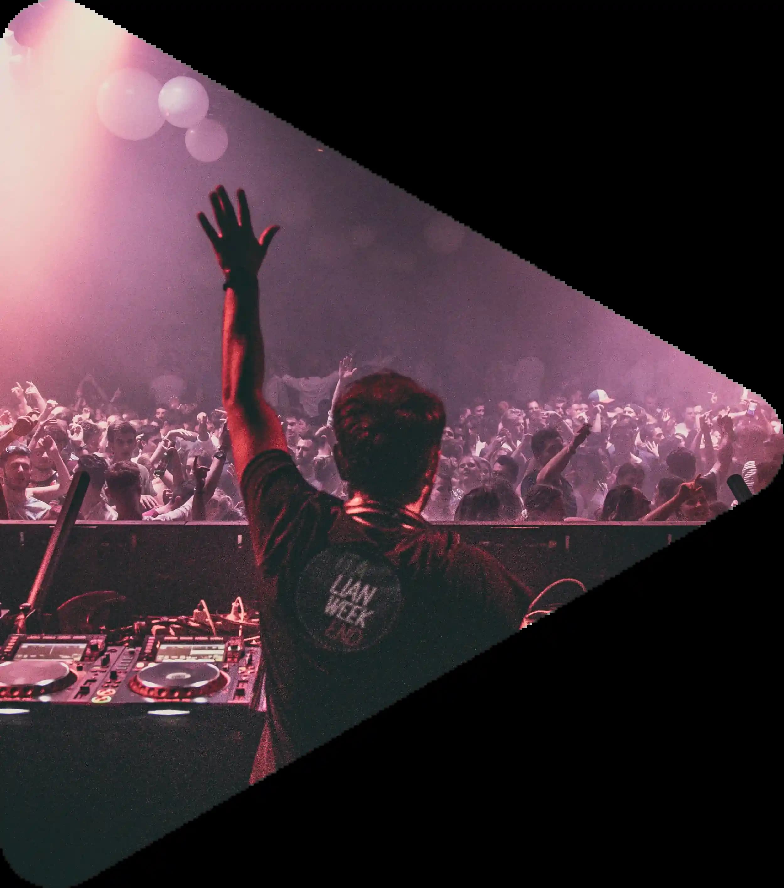 dj with audience